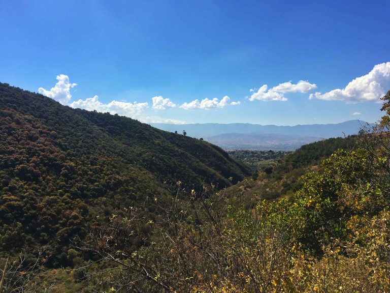 FullSizeRender 26.jpg