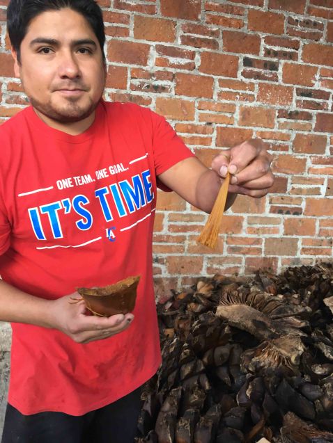 matatlan-mezcal-agave-sweet