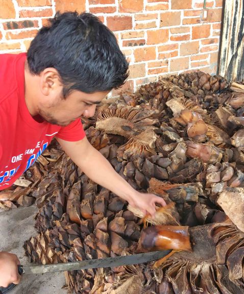 matatlan-mezcal-baked-agave