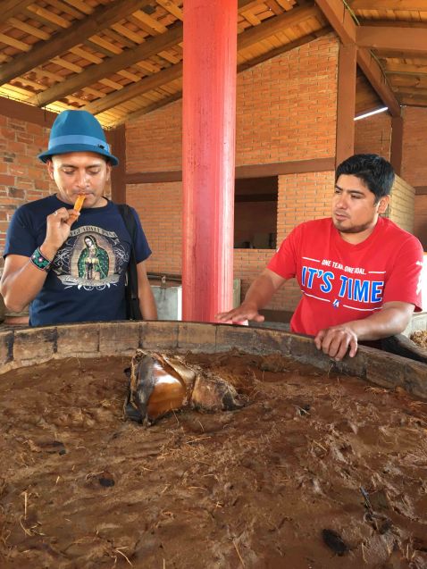 matatlan-mezcal-oaxacking