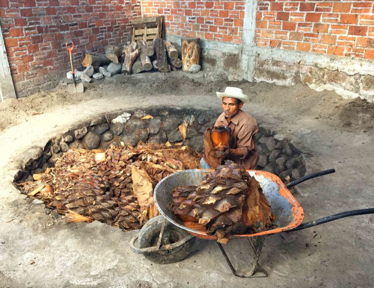 matatlan mezcal pinas