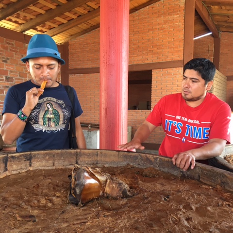 Oaxacking mezcal