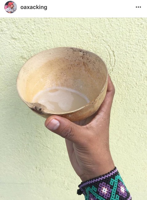 pulque-oaxacking