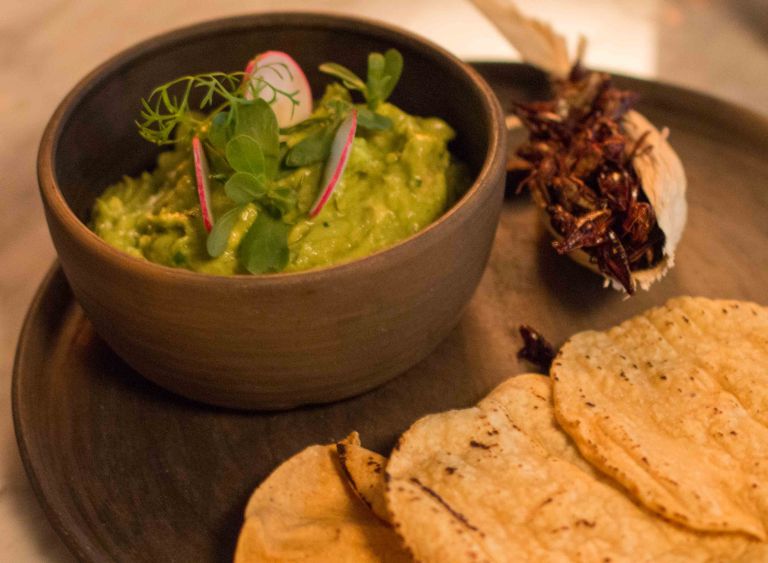 Poleo Mexico guacamole Rodolfo Castellanos