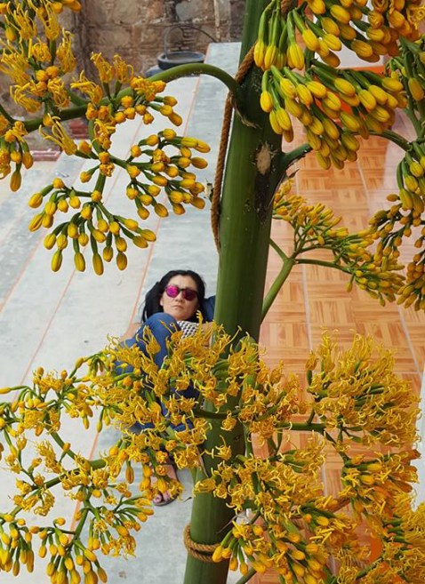 18034353_1440078302678896_6533521805952022012_n-2