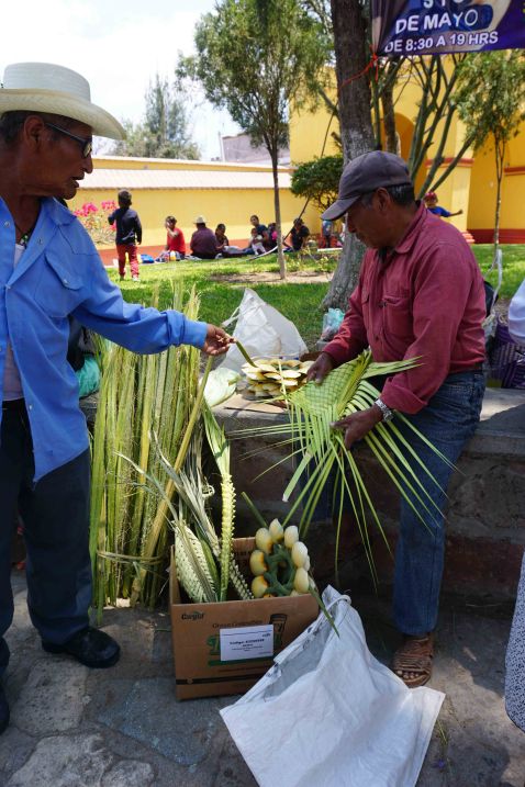 Tlacaloula palm sunday