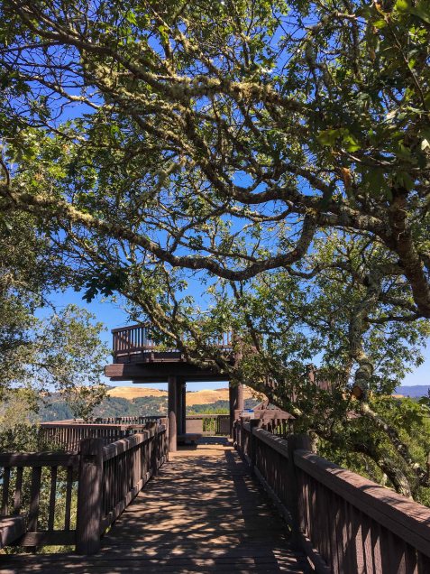 Lake Sonoma overlook fort