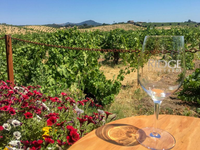 Ridge winery