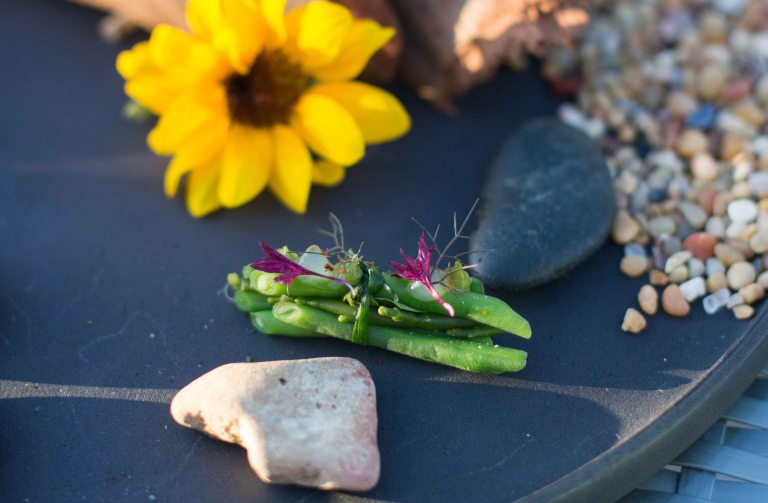 Singlethread Farm Healdsburg Sonoma beans