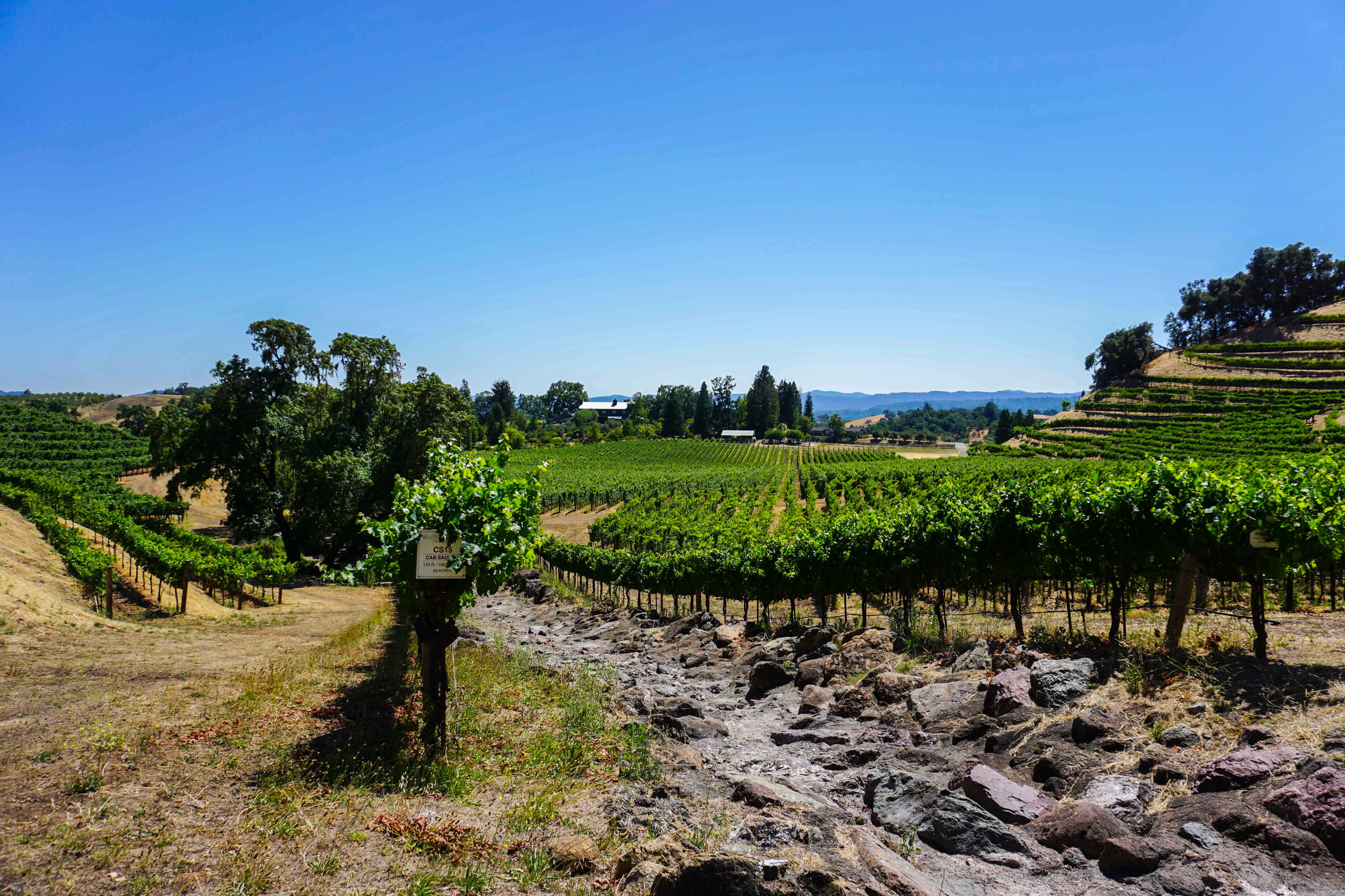 Skipstone ranch vineyard