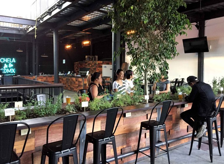 Falling Piano beer Mexico space