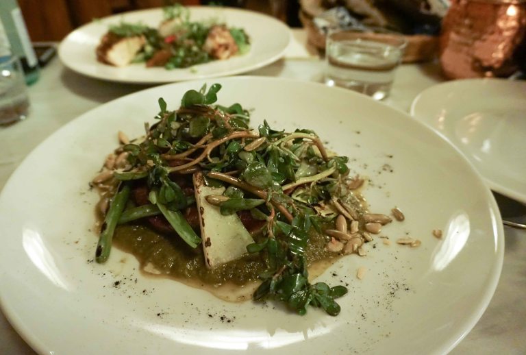 Origen Oaxaca tongue lengua