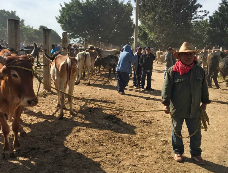 Baratillo Ocotlan oaxaca