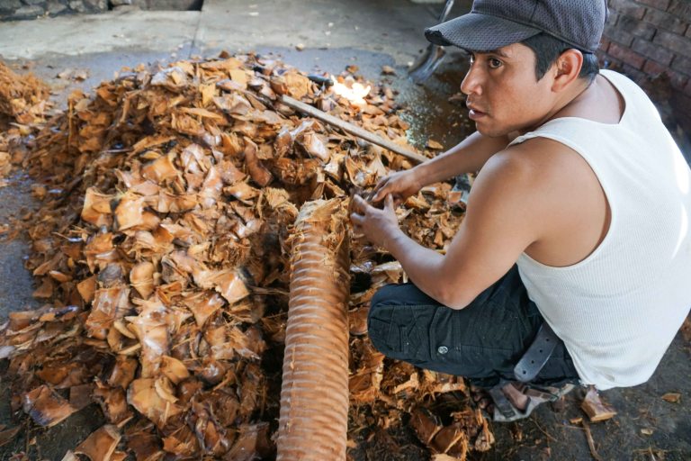 Lalocura Oaxaca baked pina