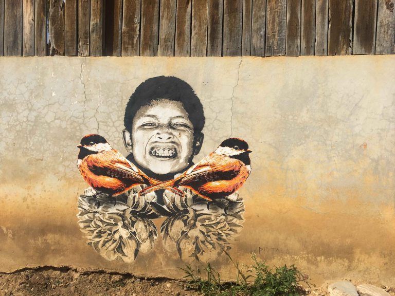 Lapiztola art Oaxaca