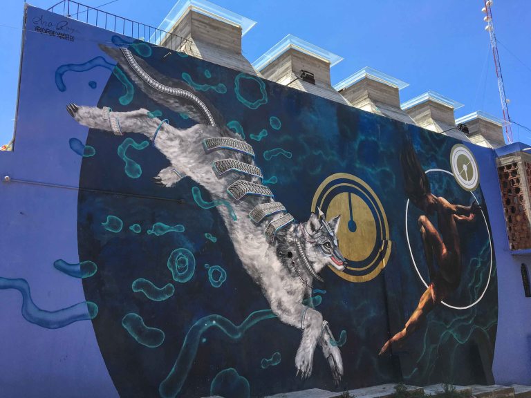 ricardo angeles Taller