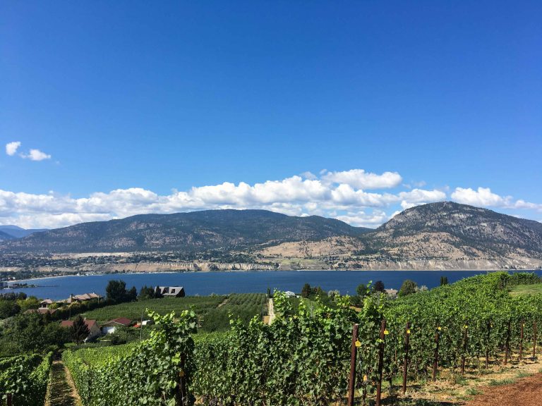 Poplar Grove view.jpg