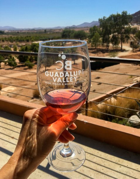 Guadalupe Valley Fest