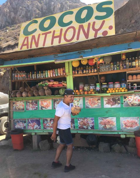 Oaxacking fruit stand
