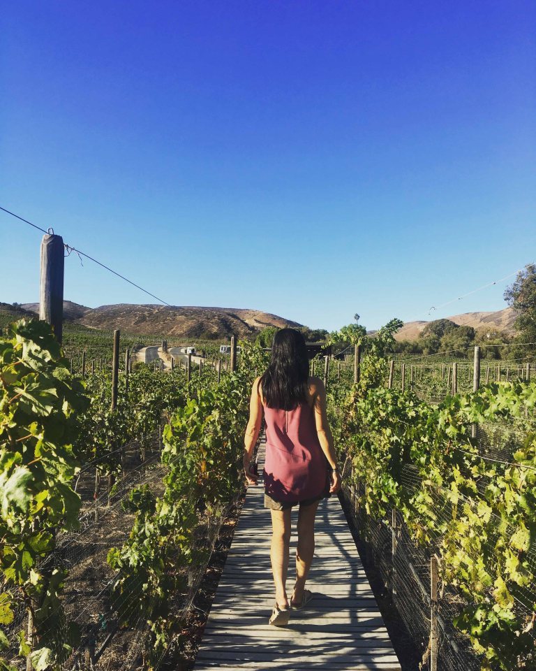 Susy Bando cuatro cuatros ensenada baja