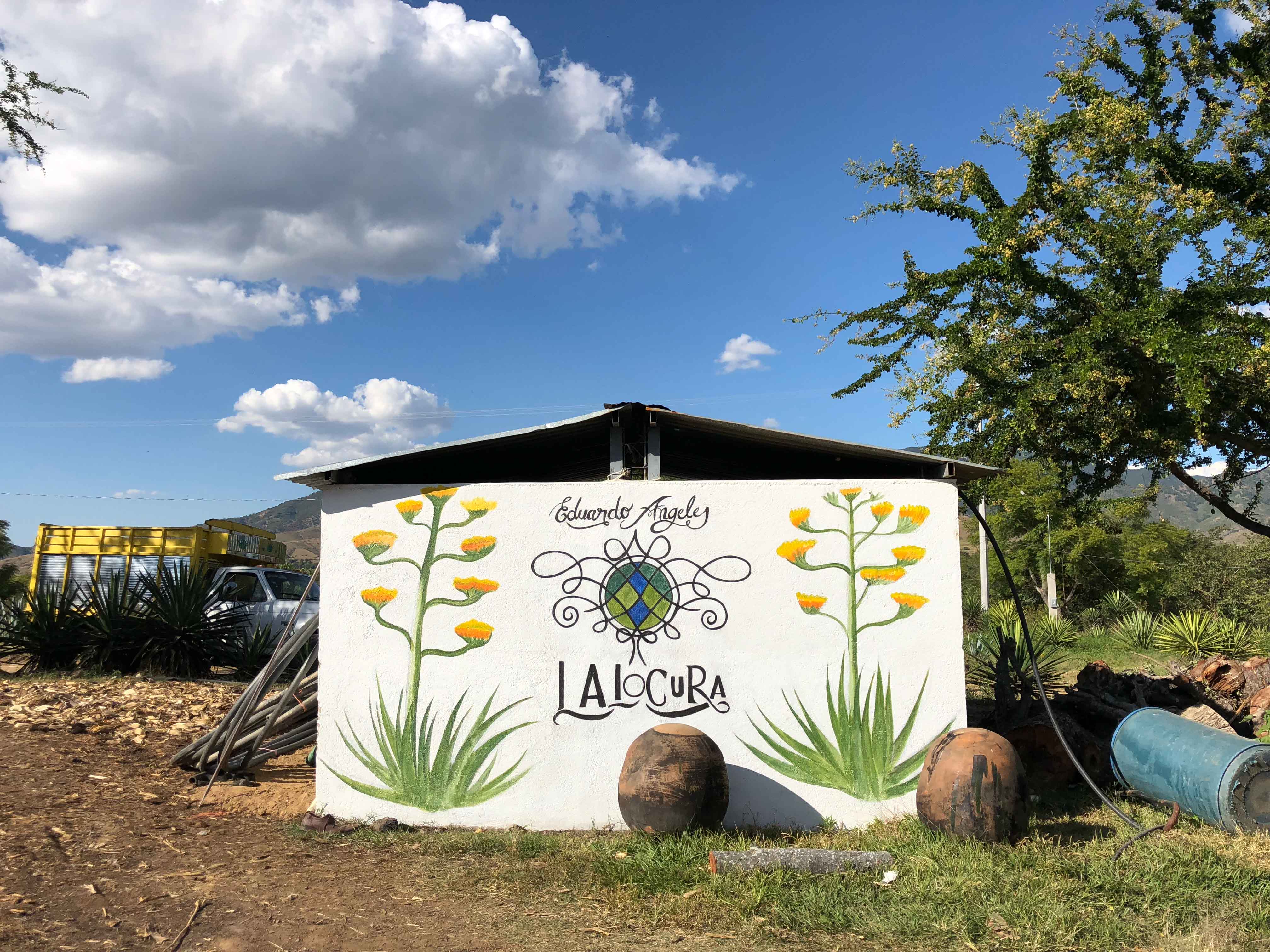 Lalocura mezcal minas Oaxaca