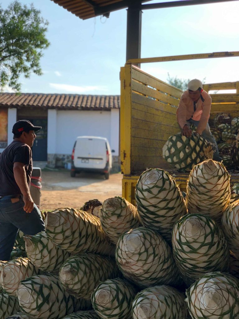 Lalocura mezcal Oaxaca barril
